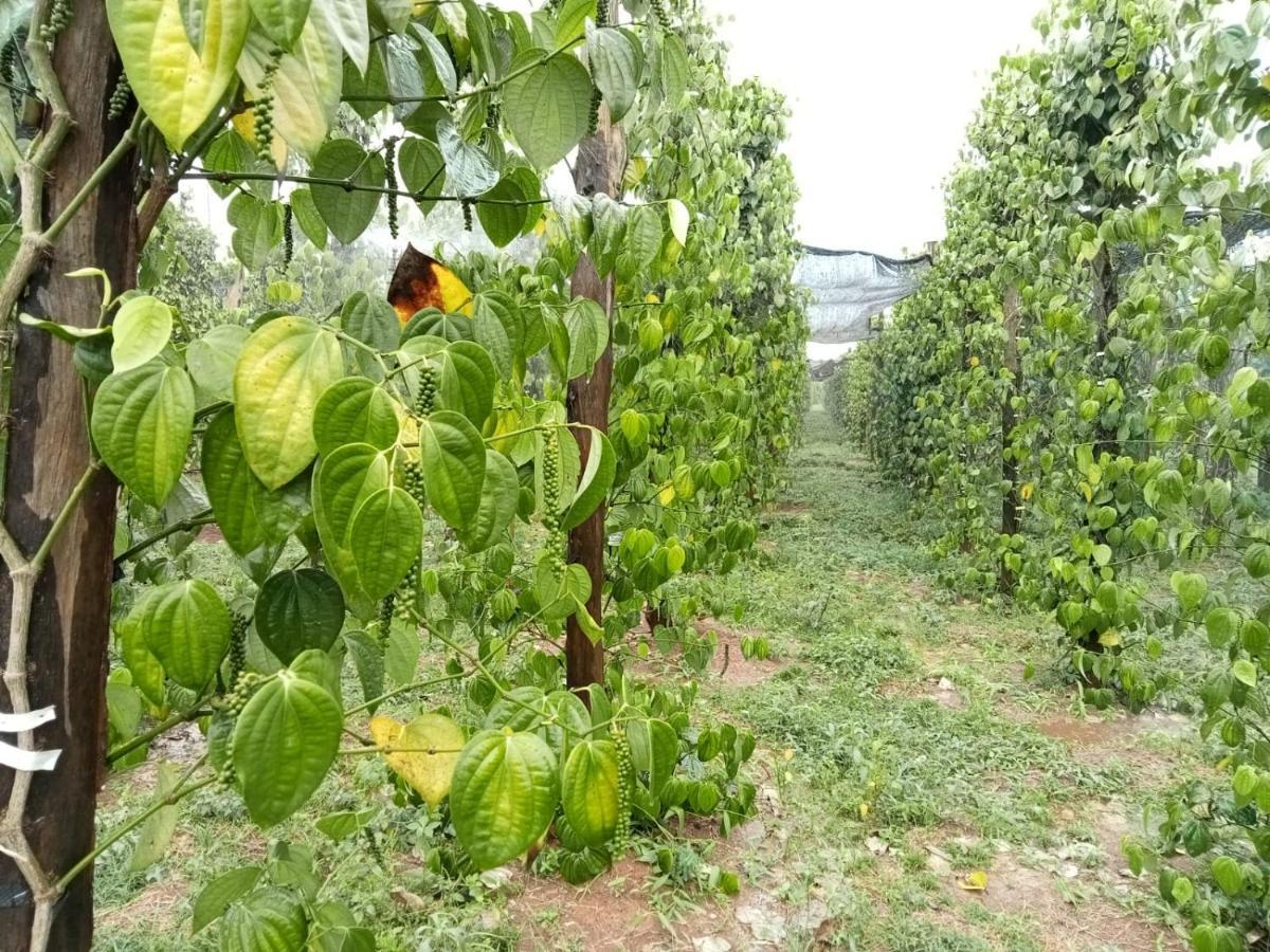 Ratanakiri Farmhouse & Trekking Banlung Luaran gambar