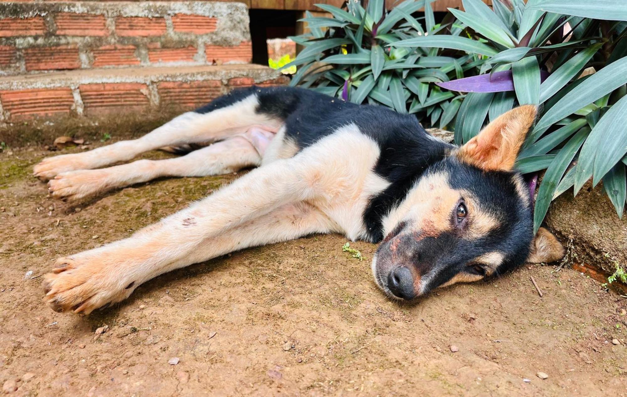 Ratanakiri Farmhouse & Trekking Banlung Luaran gambar
