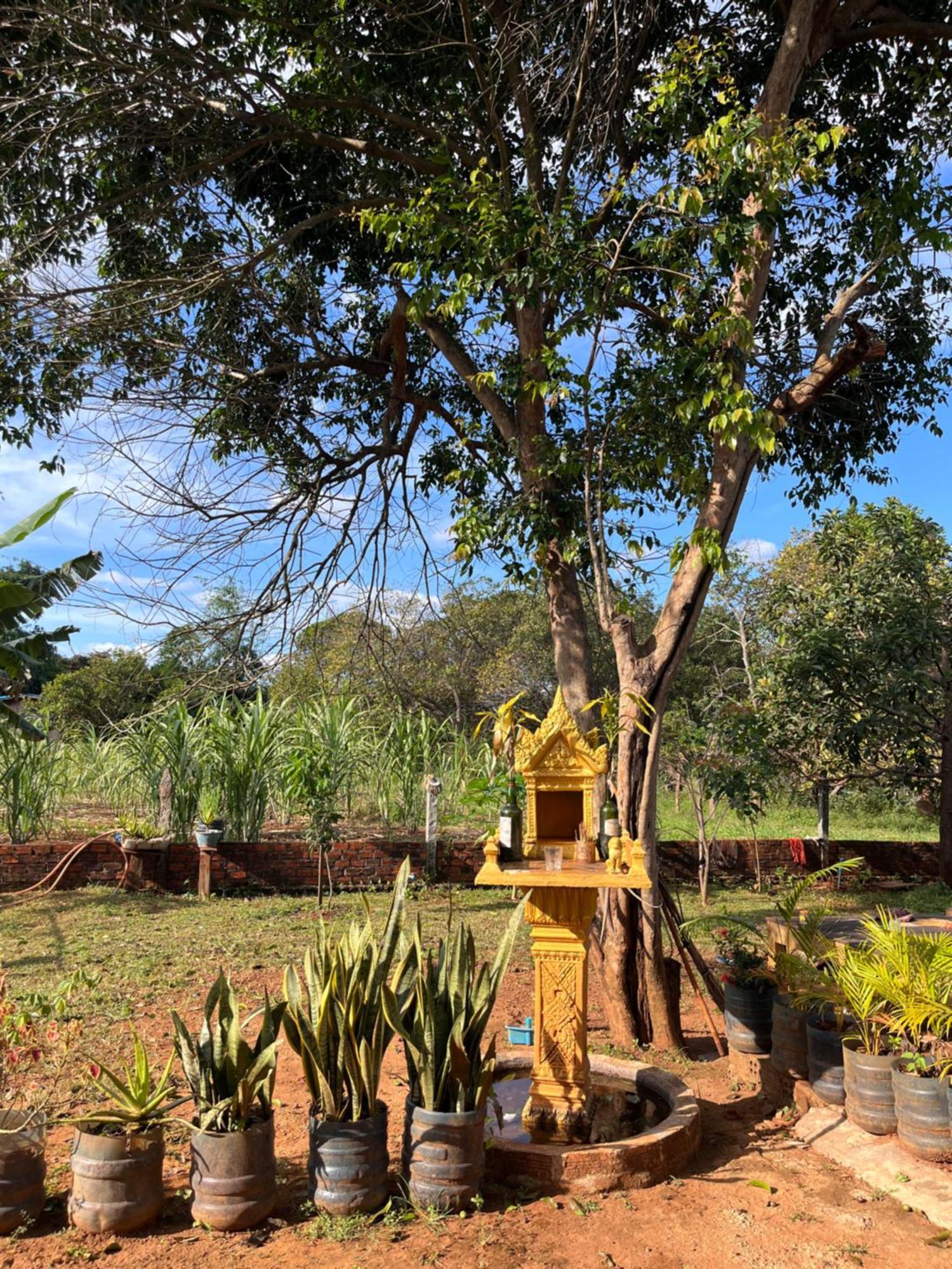 Ratanakiri Farmhouse & Trekking Banlung Luaran gambar